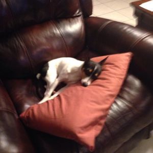 Meet your Posher, Evelyn